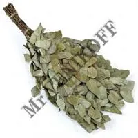 Веник эвкалипт серебристый прозрачная упаковка (под остаток)