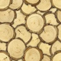 Огнезащитная плита "Фламма Design" с сюжетом "СЛОБОДА 089"  1200*610*9 мм