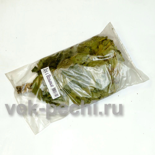 Веник дуб + мята  прозрачная упаковка "MR. VENIKOFF" фото 2