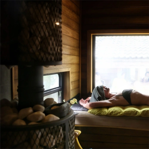 Печь чугунная банная "Атмосфера L" сетка нержавейка ПроМеталл штрих...4933 фото 3